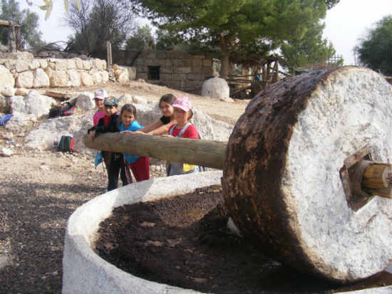 הכפר החשמונאי בשילת, אירועי שבועות2014, פעילות לילדים בשבועות, חגיגה בלבן בחבל מודיעין